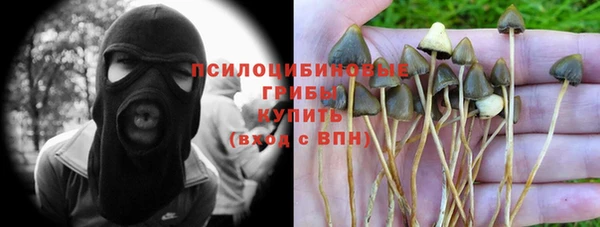 стафф Костерёво