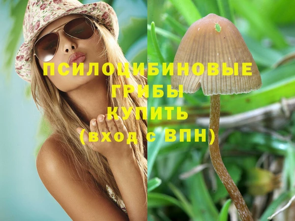 стафф Костерёво