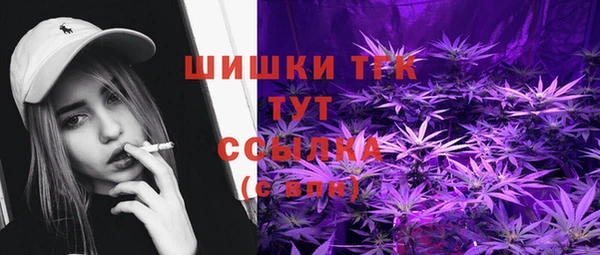 стаф Коряжма