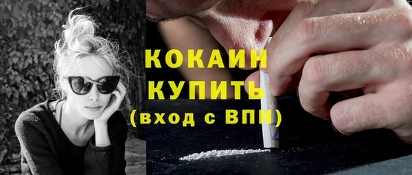 стаф Коряжма