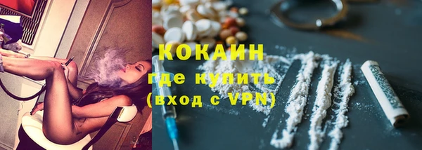 стаф Коряжма