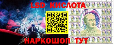 PSILOCYBIN Чебоксары