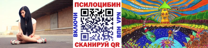 маркетплейс наркотические препараты  Ангарск  Псилоцибиновые грибы Psilocybe 